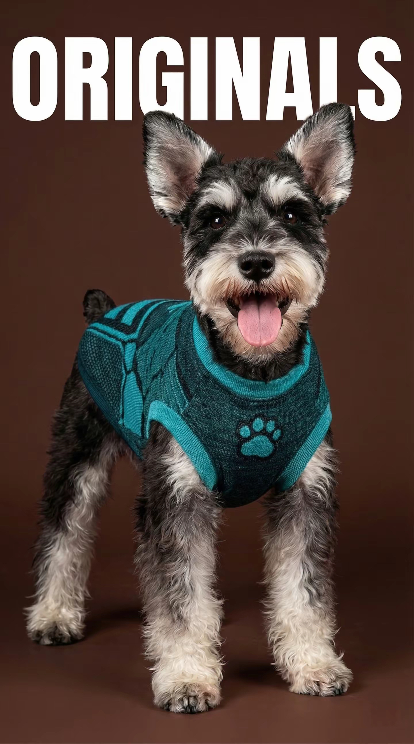 Expanding Our Seamless Capabilities: Introducing High-Performance Seamless Knitwear for Pets